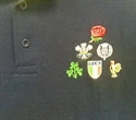 Picture of Emb Example 2